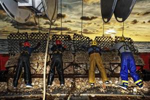 Patrice OLIVIER - PATRICE OLIVIER