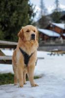 Ahmed BENAZZOUZ - AHMED BENAZZOUZ (AZURA)