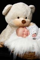 Sebastien JOUBERT - JOUBERT